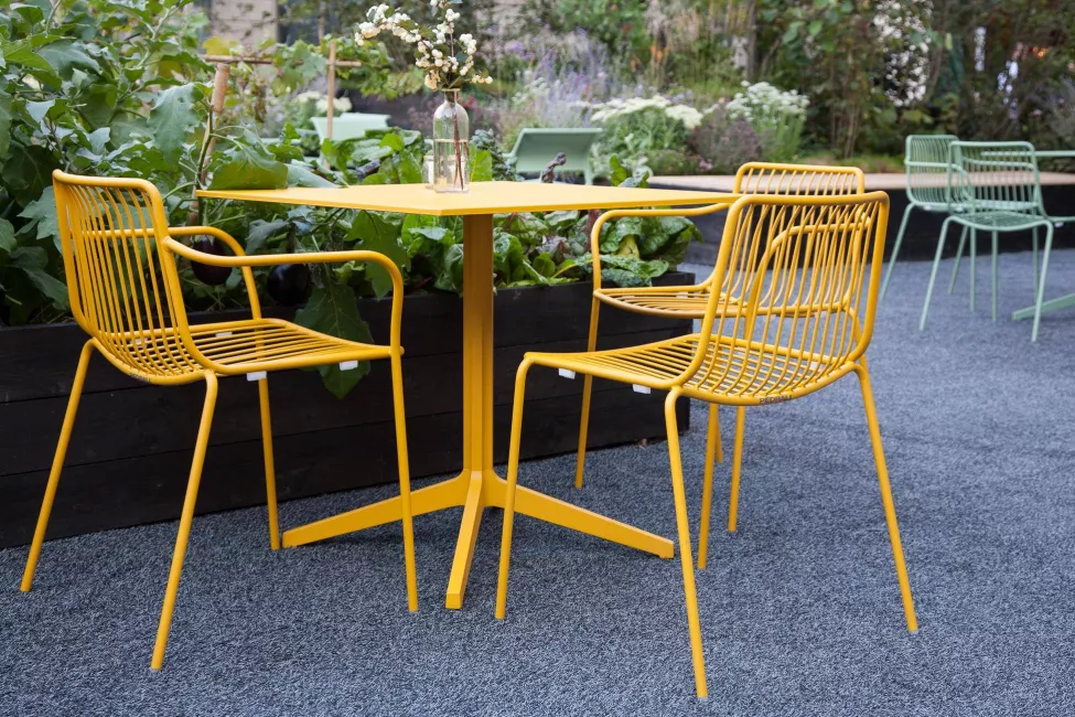 nolita_ar_1