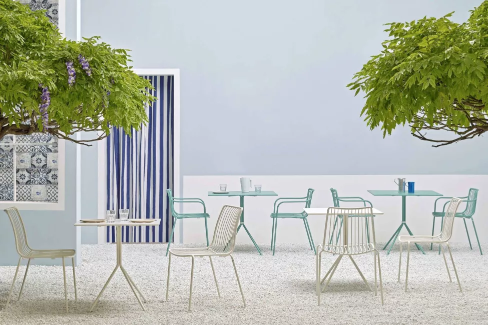 nolita_ar_2