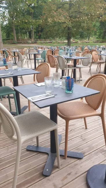 oasis2