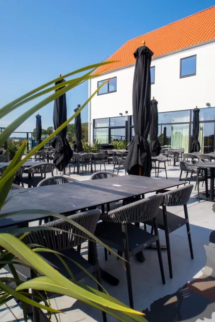 terras3