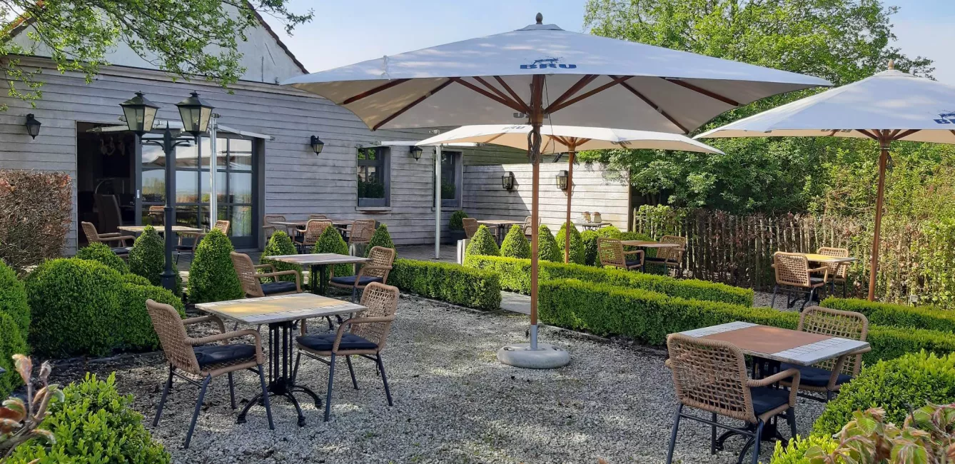 terras_hilma_0